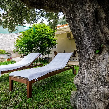 게스트하우스 아니카